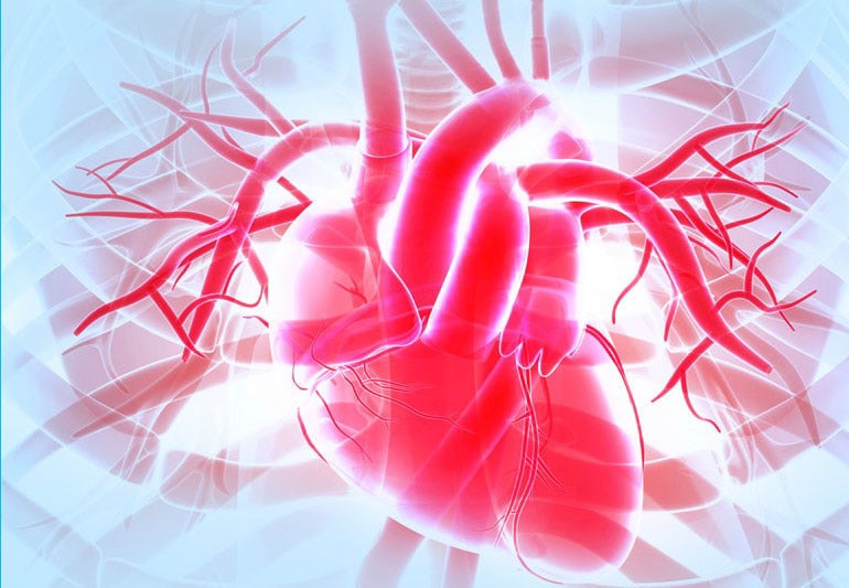 rose specialist hospital